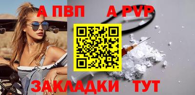 СК Кингисепп