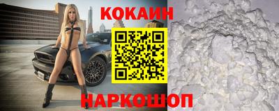 СК Кингисепп
