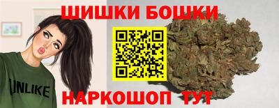 СК Кингисепп