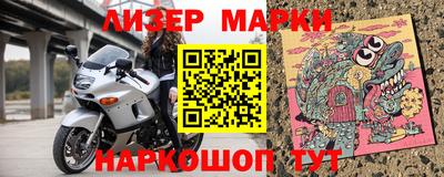 СК Кингисепп