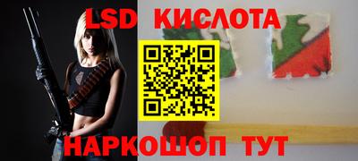 СК Кингисепп