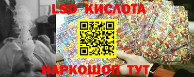 СК Кингисепп