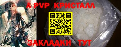 СК Кингисепп