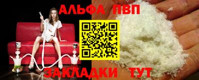 СК Кингисепп