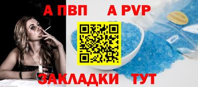 СК Кингисепп